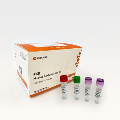 Real Time Fluorescence African Swine Fever PCR Detection Kit For Laboratory Farm