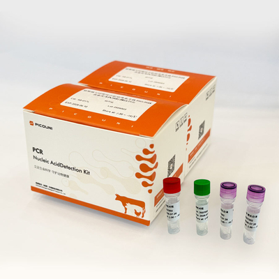Swine Fever CSFV Fluorescence PCR Reagents Kit Real Time Detection ISO Certified