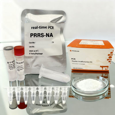 Custom Porcine Pathogen PCR Panel Respiratory PRRSV-NA Detection Kit 48T 96T