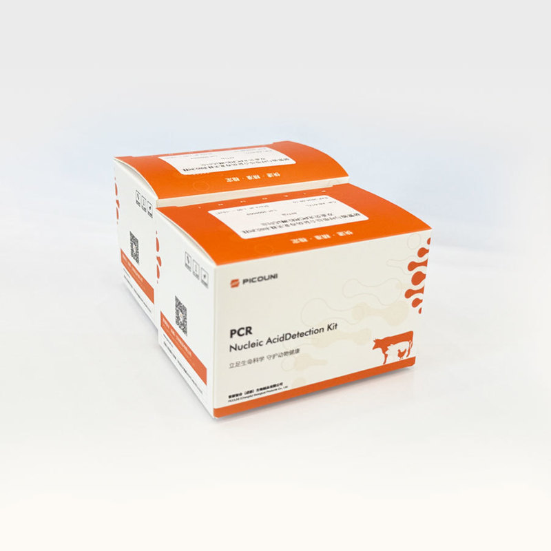 Real Time Fluorescence African Swine Fever PCR Detection Kit For ...