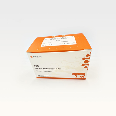 OEM RT Reverse Transcriptase Bovis Mycoplasma Detection Kit PCR 25μL