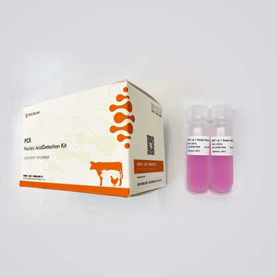 Terminator Cycle Sequencing Mixture PCR Amplification Kit For Sanger Reaction 2x20ml