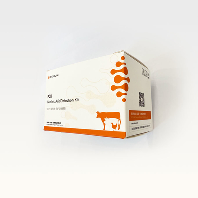 Real Time Digital Bordetella Bronchiceptica PCR Kit Enzyme PDCoV Reaction Solution