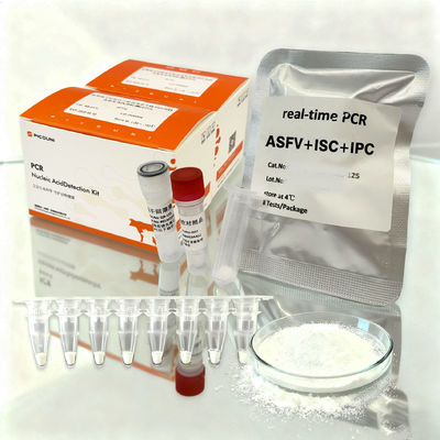 real time PCR African swine fever virus (ASFV) + ISC + IPC Detection Kit