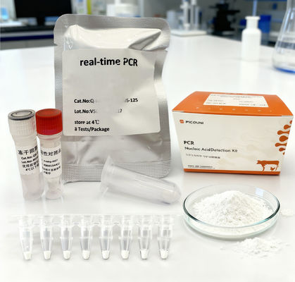 African Swine Fever Typing ASFV ISC Digital RT PCR Reagents Detection Kit ODM