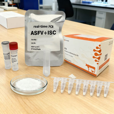 African Swine Fever Typing ASFV ISC Digital RT PCR Reagents Detection Kit ODM
