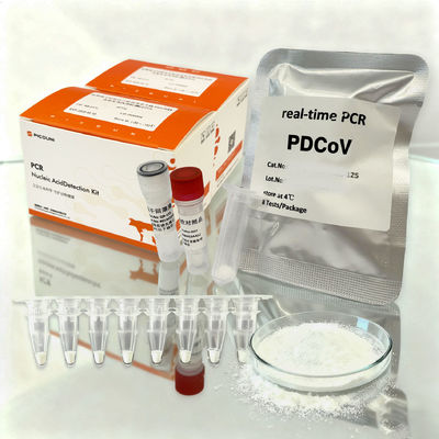 96T PDCoV Real Time RT PCR Kit With Reverse Transcriptase OEM In Bulk