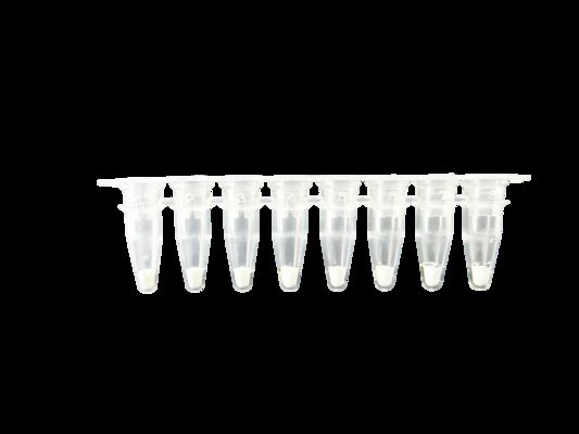 Real Time Porcine Respiratory Pathogen PCR Viral Panel NADC34 Like Detection Kit