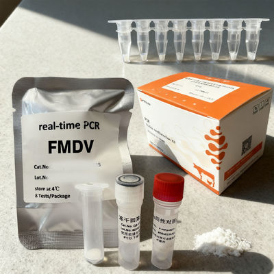 FMDV Nucleic Acid PCR Foot Mouth Disease Viral Swab Panel 96T ODM