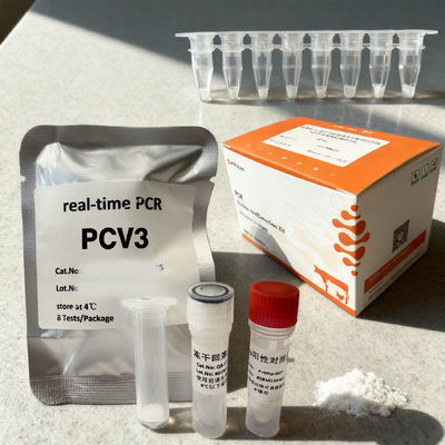 Fluorescence Quantitative Digital Nucleic Acid PCR Reagents Porcine Circovirus Type 3 PCV3 Detection Kit