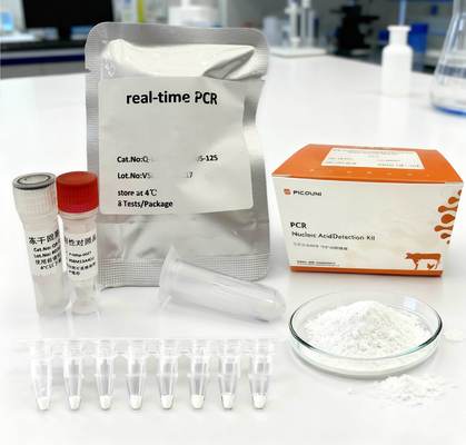 Fluorescence Quantitative Digital Nucleic Acid PCR Reagents Porcine Circovirus Type 3 PCV3 Detection Kit