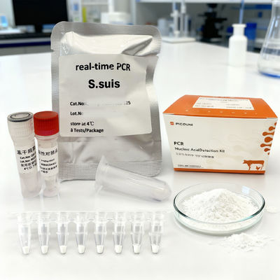 Integrated Real Time Rapid Nucleic Acid PCR Streptococcus Suis One Step Qpcr Kit 48Tb