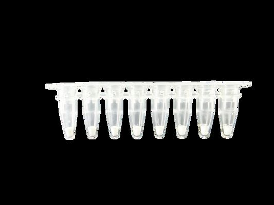 High Specificity Food Allergen Detection Reagents Quantitative QPCR Real Time QPCR Method Enabling And Accurate Food Allergen Identification