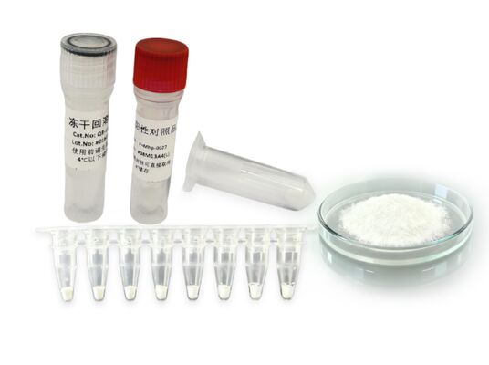 Excellent Stability Animal QPCR Detection Kit High-sensitivity Amplification Precise Results Presentation Multiple Testing , Shelf Life 24 Months