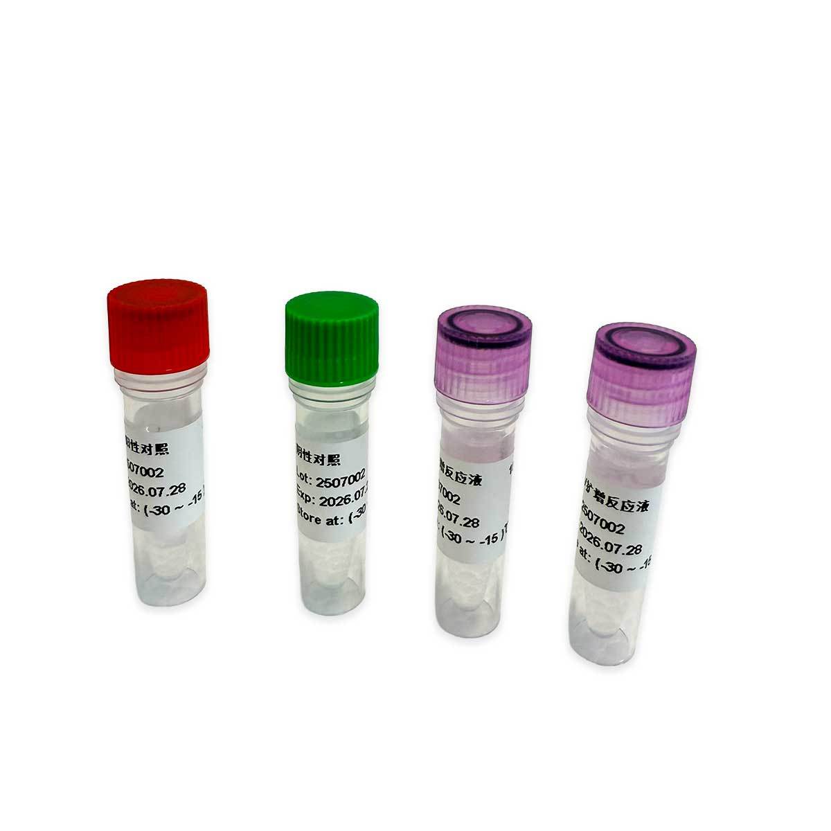 real time PCR African swine fever virus (ASFV) + ISC Detection Kit Long ...