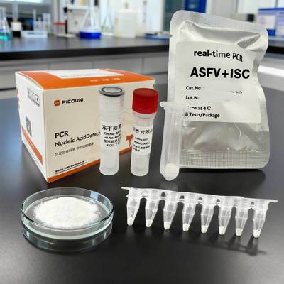 real time PCR African swine fever virus (ASFV) + ISC Detection Kit Fast results, high sensitivity, long shelf life, easy operation
