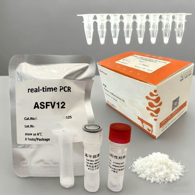 Kit di rilevamento PCR in tempo reale della peste suina africana a fluorescenza per laboratorio e allevamento