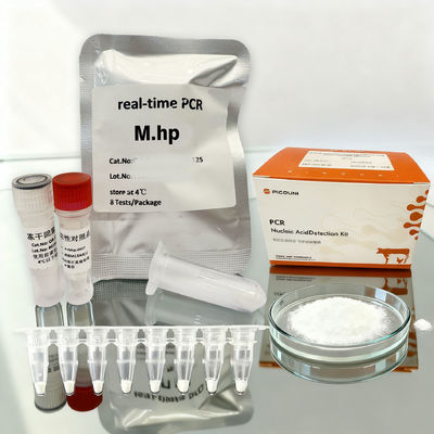 MHp検出のためのリアルタイム・フルオレッセンスの量的なミコプラズマ肺炎PCRキット