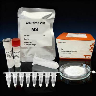 Kit de Detecção PCR ODM para Mycoplasma Synoviae MS e Influenza Aviária