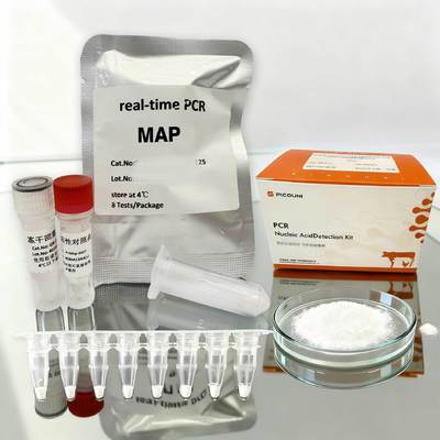 Real Time Mycobacterium Paratuberculosis MAP PCR Detectie Kit 48T 96T