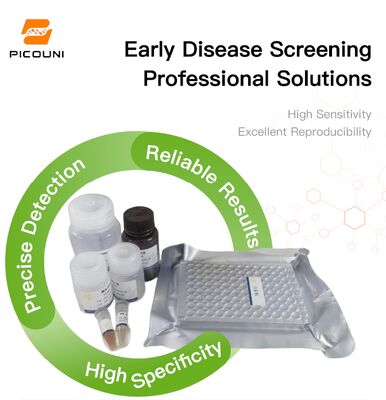 High Specificity Porcine Disease ELISA Antibody Detection Kit Serum Sample Types Early Screening Kit Infectious Diseases Sensitive Repeatable