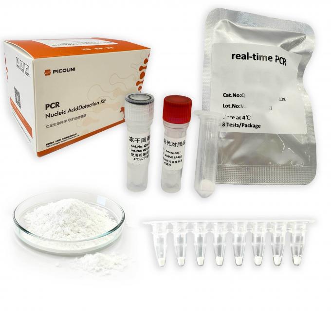 Real Time Fluorescence African Swine Fever PCR Detection Kit For ...